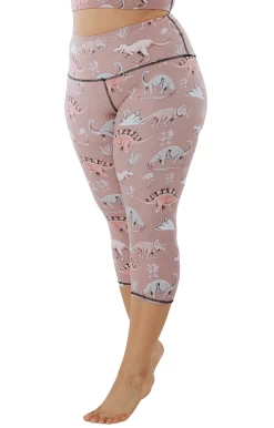 Stokasaurus Printed Yoga Crops -Yoga Democracy 1201 stok front removebg